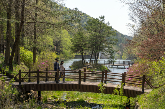 Mount Midong Arboretum in Cheongju, North Chungcheong. [BAEK JONG-HYUN]