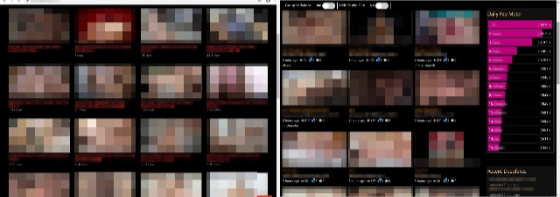 Websites that specialize in switching K-pop stars' faces with women in pornographic videos using deepfake technology deal with these contents in particular. Famous and popular stars fall victim to these videos, and there is even a "popularity meter" on one of the sites (picture at right).