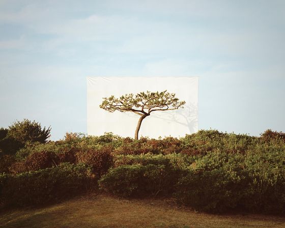 Lee Myoung-ho's "Tree #18_2_1" [GALLERY HYUNDAI]