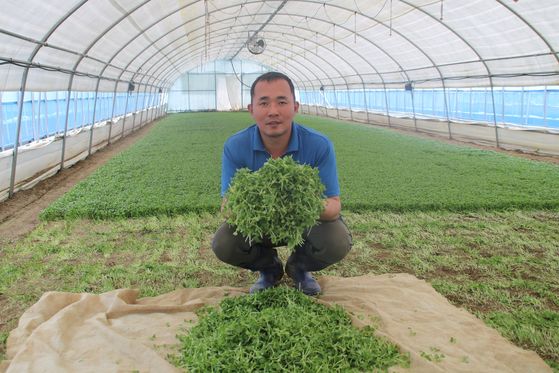 Bareun Farming CEO Kim Eun-ho holds some vegetables. [RETURN2FARM]