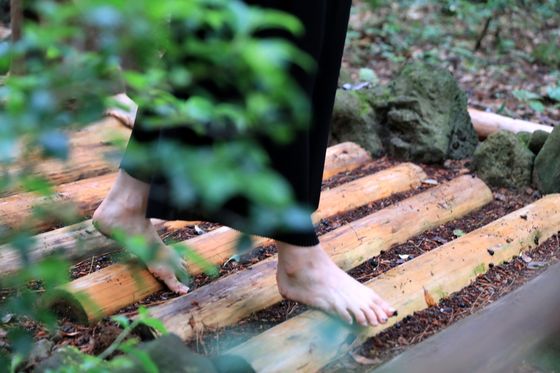 Take your shoes and socks off and walk barefoot inside the Seogwipo Forest of Healing. [KOREA TOURISM ORGANIZATION]