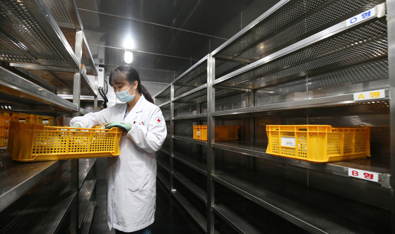 The shelves of a blood depot reservoir are nearly empty in a blood bank in Daejeon on Thursday. The blood bank has only 4.8 days of blood remaining in stock as blood donations have drastically decreased because of the Covid-19 pandemic. Five days of blood in stock is considered an adequate amount, but people are reluctant to donate blood for fear of contracting the infectious disease. [NEWS1]