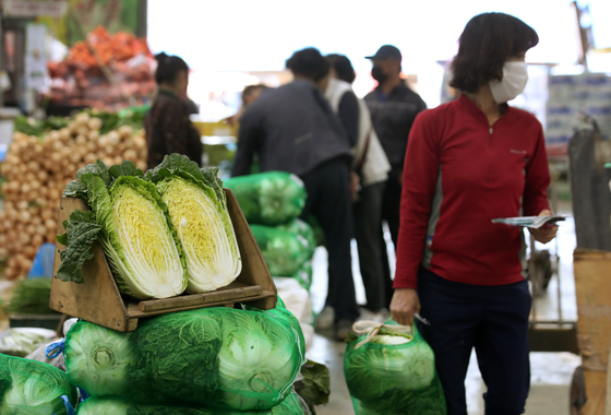 Visitors purchase napa cabbages, which hit record prices in September following a series of typhoons, at a wholesale market in Gwangju on Monday. Due to supply increases, the wholesale price for one head of napa cabbage was priced at 5,662 won ($4.92), a 30.3 percent drop compared to prices before the Chuseok holiday, according to the Agriculture Ministry. [YONHAP]