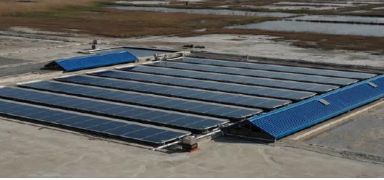 Kepco solar farm project developed with Green Energy Institute and SM Software. [KEPCO]