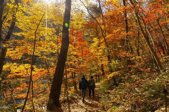 Mountain climbers visit Odaesan National Park in Gangwon to see beautiful fall foliage. [BAEK JONG-HYUN]