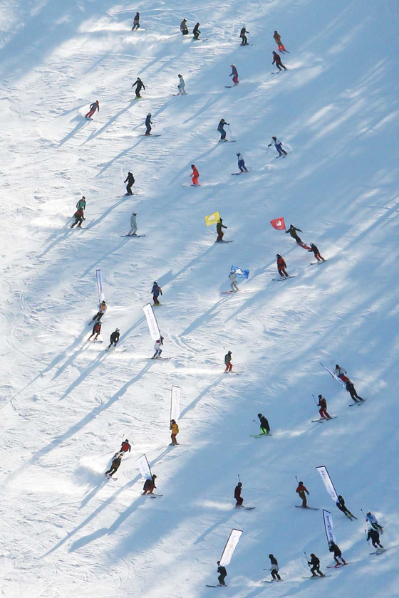 Skiers slide down on a slope at Yongpyong Ski Resort in Pyeongchang County, Gangwon, on Tuesday as the ski resort opened the slope on the day. [YONHAP]