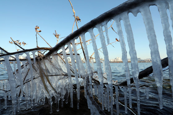 Icicles hang on a branch over the Han River near Yeouido, western Seoul, on Monday as the weather agency issued the first cold wave advisory this season. The mercury dipped down to minus 9.7 degrees Celsius (14.5 degrees Fahrenheit) in Seoul Monday morning. [YONHAP]