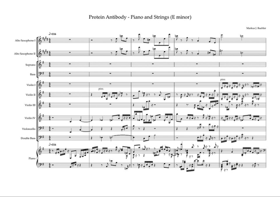 Music score of "Protein Antibody - Piano and Strings (E minor). [LINDENBAUM]