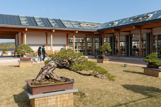 The Bonsai Garden at Sejong National Arboretum [LIETTO]