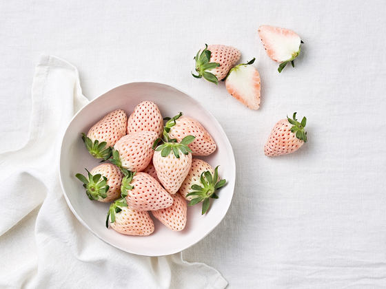 White strawberries, a special type a strawberry that is more sweet and white in color. [LOTTE MART]    