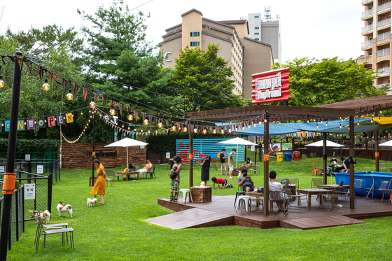 A pet playground at Vivaldi Park in Hongcheon County, Gangwon. [SONO PET CLUBS & RESORTS]