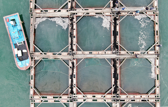 An offshore fish farm in Taean county, west coast of South Chungcheong. [YONHAP] 