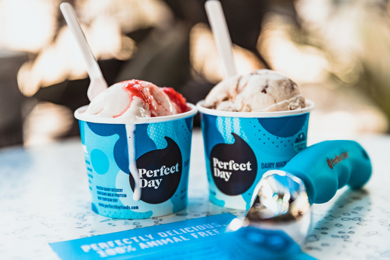 Perfect Day's ice cream made with animal-free protein [SK INC.]