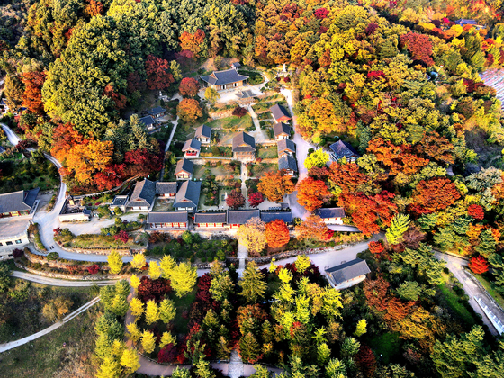 An aerial view of Buseok Temple in Yeongju, North Gyeongsang shows the fall colors.[SOHN MIN-HO]