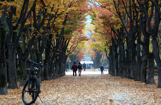 People take stroll beneath a canopy of autumn foliage on a road covered with fallen leaves in a park in downtown Daejeon on Monday. [YONHAP]