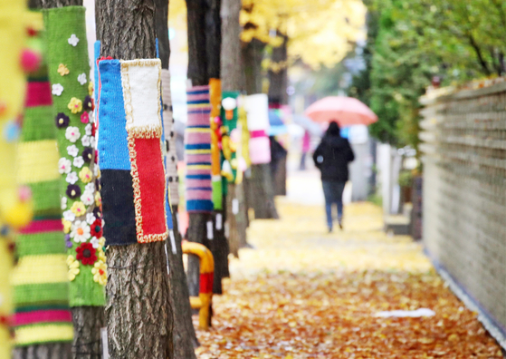 A person holding an umbrella walks by trees wearing colorful cloth covers on a street in Gwangmyeong, Gyeonggi, as it starts to get chilly on Monday. [YONHAP]