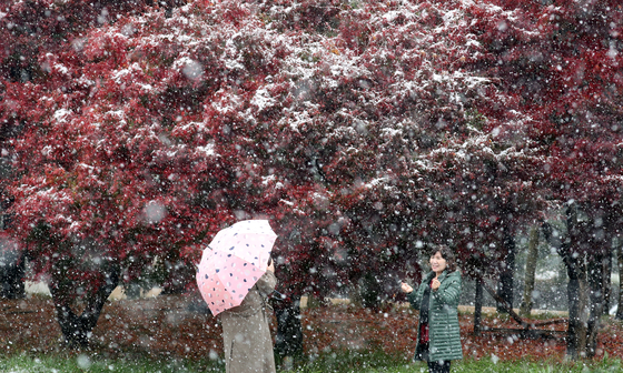 Tourists take photos on Mount Chiak in Wonju, Gangwon, on Tuesday, which saw the first snowfall of the season. [NEWS1]