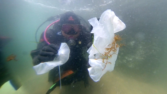 A diver finds wet wipes and other plastic waste in the ocean off the coast of Tongyeong, South Gyeongsang, in June. [JOONGANG ILBO]