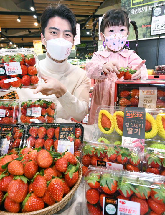 Models hold up strawberries that will be sold during Homeplus' Sweet Berry Festival at a Homeplus branch in Gangseo District, western Seoul, on Wednesday. Different varieties of the fruit will be sold at discount prices during the event, which runs until Dec. 15. [HOMEPLUS]