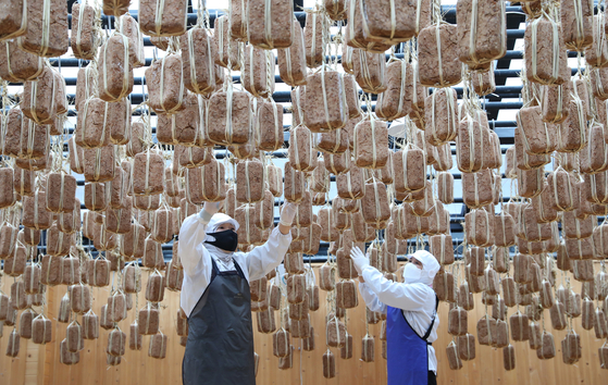 Workers sun-dry meju, or blocks of fermented soybeans, at a farm in Anseong, Gyeonggi, on Tuesday. Fermented soybean lumps act as the base for soy sauce and bean paste, staples of Korean food. [NEWS1]