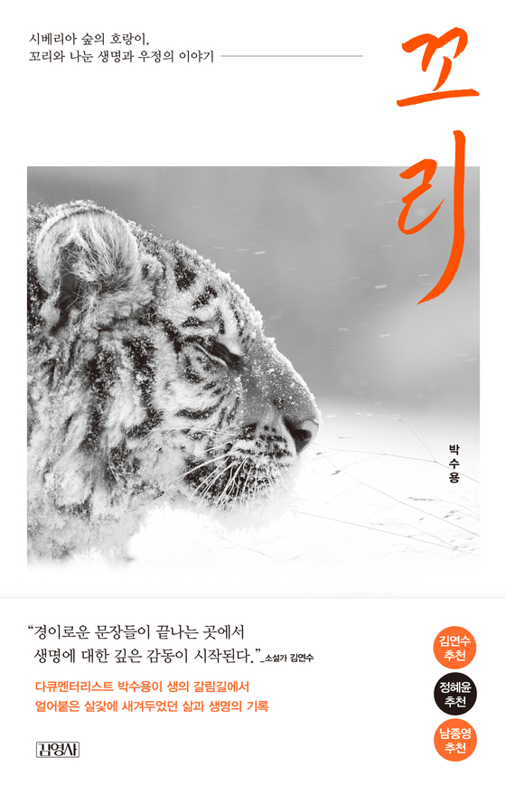The cover of ″Tail” (tentative title) [GIMMYOUNG PUBLISHERS]
