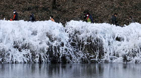 People take a stroll along a path lined with ice-covered bushes created by the bitter cold snap, around Seonam Lake Park in Ulsan on Thursday. [NEWS1]