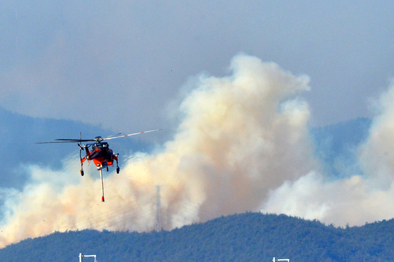 A Korea Forest Service helicopter puts out a wildfire on a mountain in Yeongdeok County in North Gyeongsang on Wednesday. The flames were thought to be extinguished the previous day but reignited overnight, leading to the evacuation of some 190 households nearby. The agency issued a Level 3 wildfire warning, the second highest in the four-tier system, and 36 helicopters and 600 personnel were dispatched to the scene. [NEWS1] 