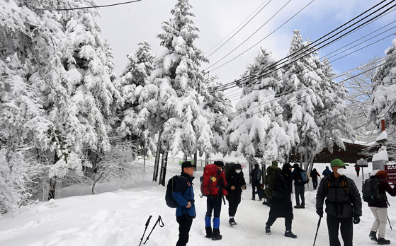Mountaineers climb a snow-covered mountain in Pyeongchang County, Gangwon, on Sunday. Unexpected heavy snowfall in mid-March blanketed mountains in Gangwon. [YONHAP]
