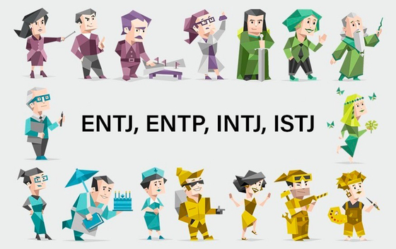 Turt MBTI Personality Type: INTP or INTJ?