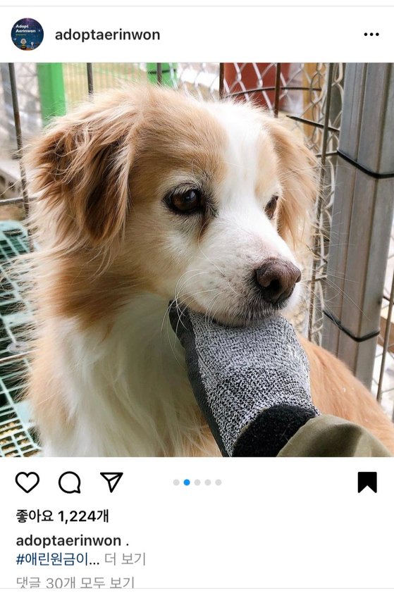 An instagram post of Bori, whose previous name was Geumi [SCREEN CAPTURE]