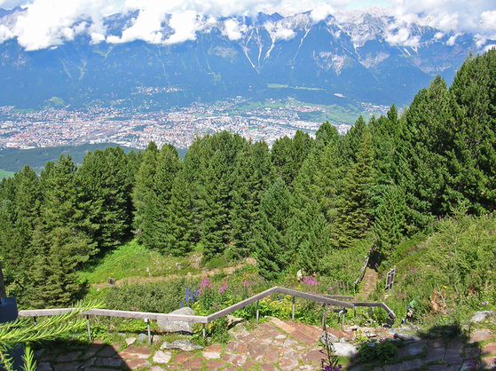 Patscherkofel alpine garden [UNIVERSITY OF INNSBRUCK]
