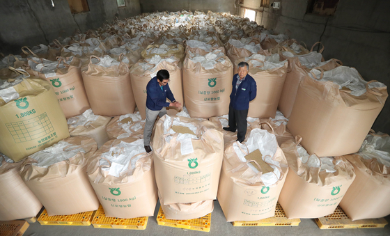 Rice glut — Bags of rice that were not sold due to the falling price are stacked at Nonghyup in Pohang, North Gyeongsang. Around 5,300 tons of rice purchased last year was not sold due to the sharp decline in rice prices, according to the retailer. [YONHAP]