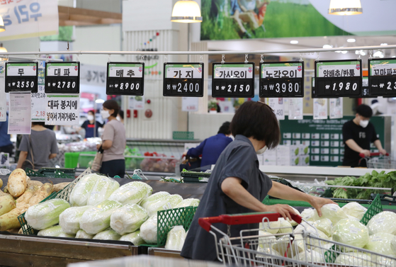 A consumer shops for Napa cabbage in the fresh produce section of a grocery store in Daegu on Tuesday. Napa cabbage prices rose 72 percent year-on-year. [YONHAP]
