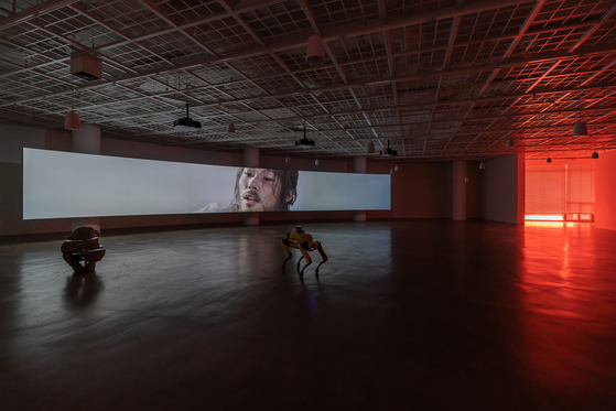 The installation view of ″To Build a Fire″ (2022) [ART SONJE CENTER]
