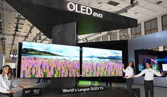 LG Electronics displays a 97-inch OLED television at IFA 2022 held in Berlin. [LG ELECTRONICS]