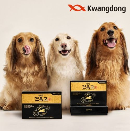 An advertisement for Kwangdong Pharmaceutical's Gyeonokgo [KWANGDONG PHARMACEUTICAL]