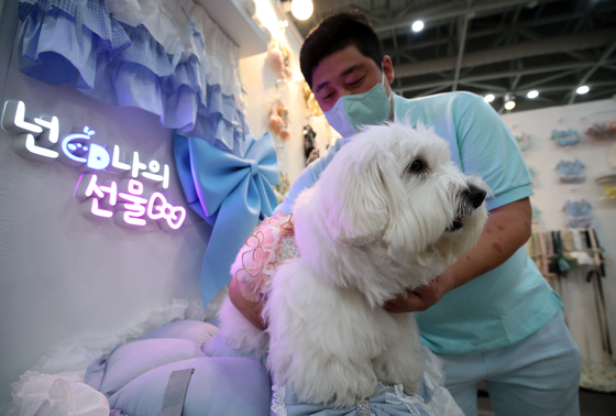 A dog and its owner attend the 2022 K-Pet Fair Songdo held at the Songdo Convensia in Incheon on Sunday. [NEWS1]