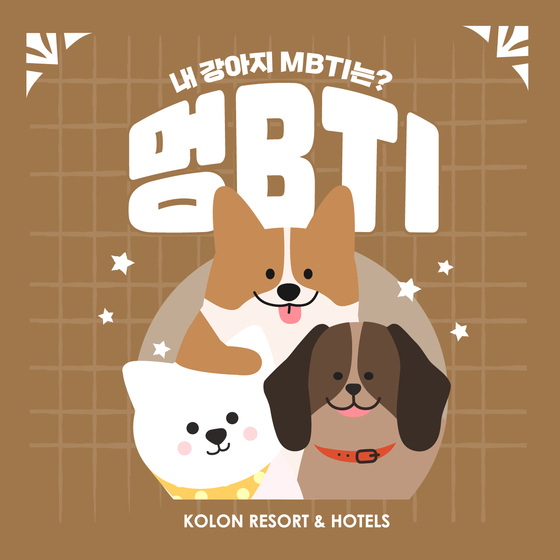 MBTI test for dogs, launched by Kolon Resort & Hotels [KOLON RESORT & HOTELS]