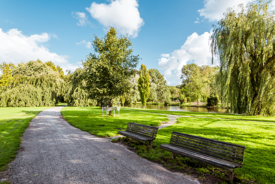 The Beatrixpark in Oud-Zuid, or the Old South, of Amsterdam, the Netherlands. [KOEN SMILDE] 