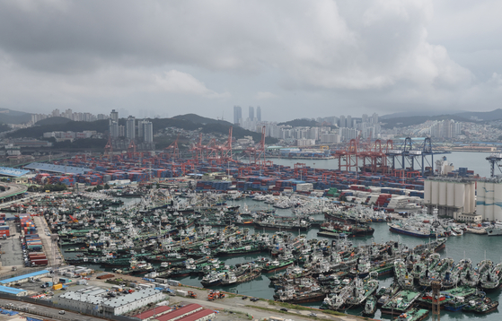 Fishing boats docked in Busan Port on Sunday as the nation braces for Typhoon Hinnamnor. The Korea Meteorological Administration warned that the typhoon could turn out to be the strongest to hit Korea in decades. [SONG BONG-GEUN]