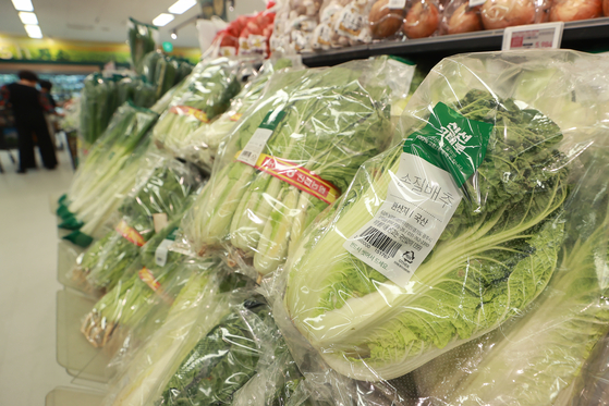 The price of a head of cabbage jumped 28.3 percent between Sept. 11 and 19, compared to Sept. 1 to Sept. 10. The government plans to supply the market with 3,000 tons of cabbage by early next month. Cabbages are displayed at a discount mart in Seoul on Tuesday. [YONHAP]