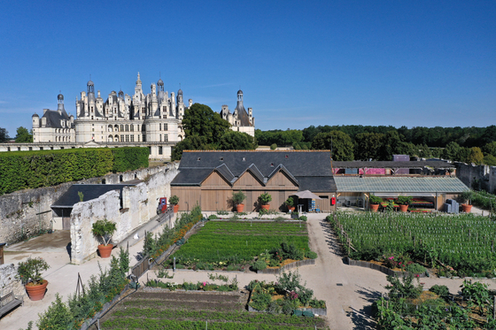 The vegetable gardens of the national domaine of Chambord, a commune located southwest of Paris, France. [OLIVIER MARCHANT] 