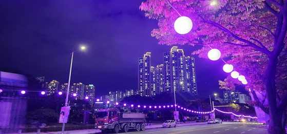 Landmarks throughout Busan were lit up in purple. [BUSAN CITY]