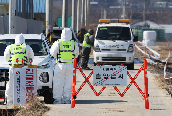 Officials carry out a disinfection operation on a road in the city of Pyeongtaek, Gyeonggi Province, on Feb. 8, after a farm in the city reported a highly pathogenic avian influenza case. [YONHAP]