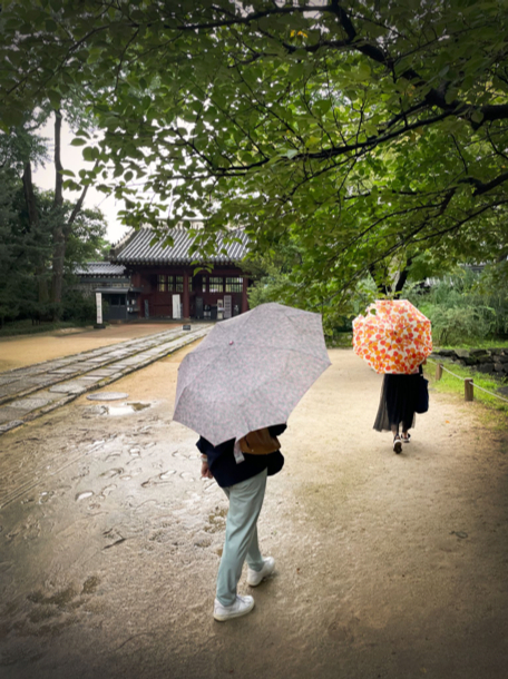 Visiting Jongmyo on a rainy day offers a serene and peaceful experience. [ALLAND DHARMAWAN]