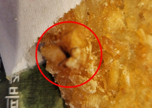 A dead mosquito in a McDonald's hash brown [YONHAP]