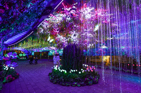 Daejeon O-World's Magic Nature is a popular photo spot among Night Universe visitors. [KOREA TOURISM ORGANIZATION]