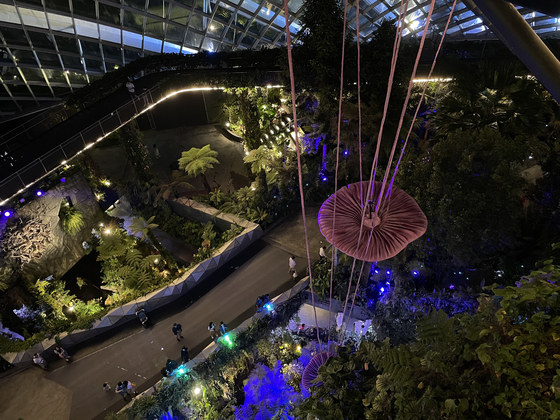 A panoramic view of the Cloud Forest from the Cloud Walk bridge [LEE JAE-LIM]
