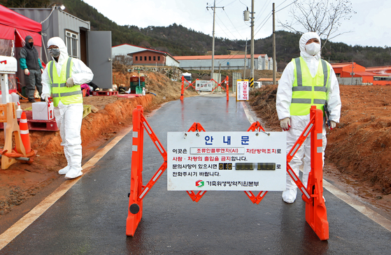 Access to a poultry farm in Hampyeong-gun, South Jeolla, is restricted on Monday as an H5 strain of avian influenza (AI) has been detected at the farm. [YONHAP] 