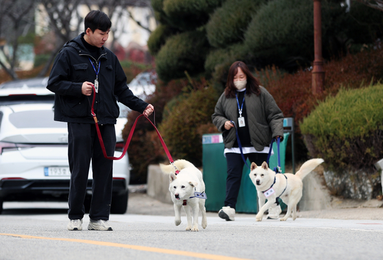 Two Pungsan dogs from former President Moon Jae-in at their new home at the zoo in Uchi Park in Gwangju on Monday. The two dogs — Songkang and Gomi — were a present from North Korean leader Kim Jong-un in 2018. They are now owned by the Presidential Archives, which is keeping the dogs at the zoo. Moon Da-hye, Moon’s daughter, started a fundraising campaign using images of the former president and dogs. The money will be donated to a shelter for abandoned pets.[YONHAP]